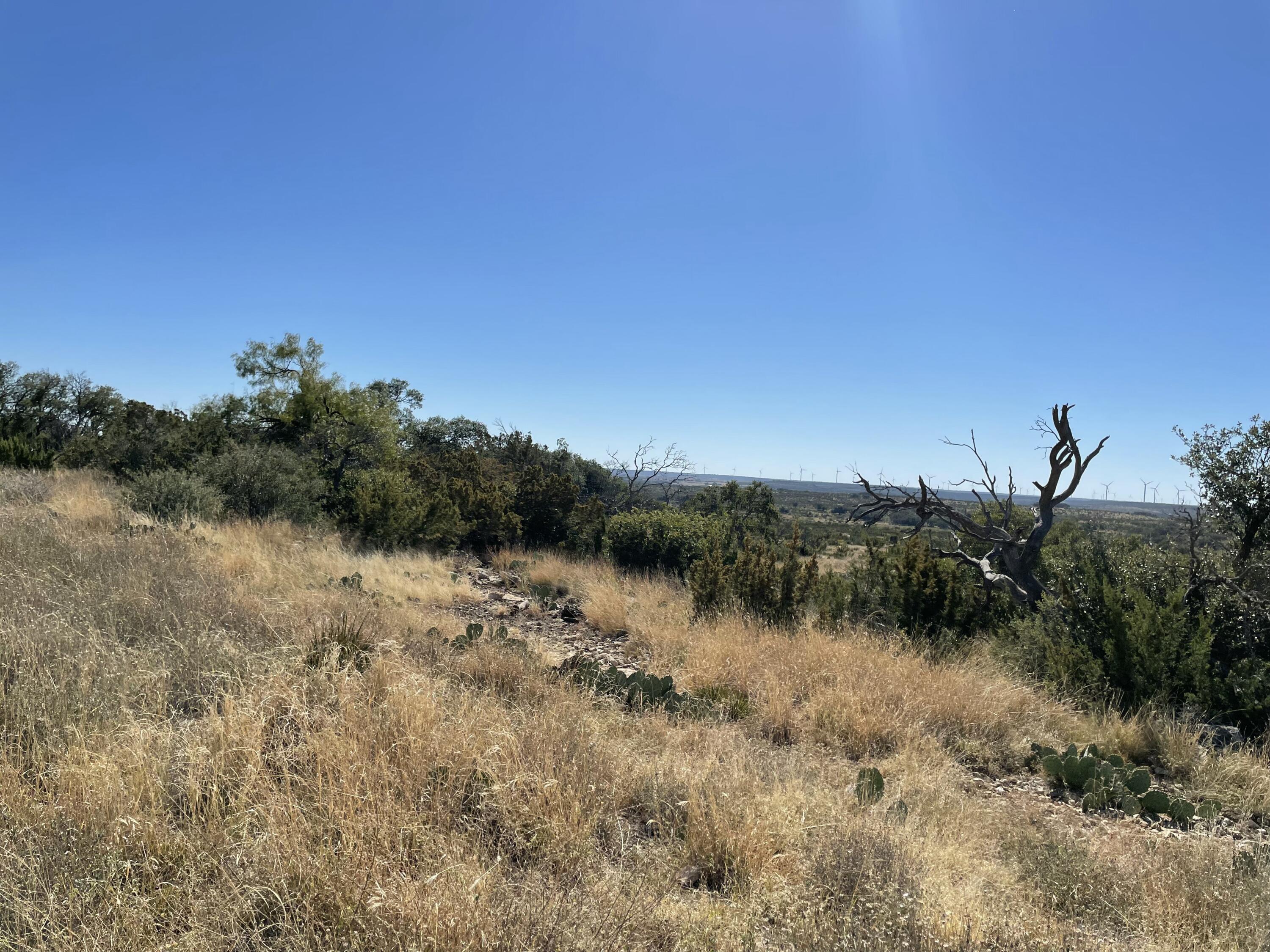 0 Allen Road Christoval, TX 76935 - Photo 14 of 32 a view of lake with green space