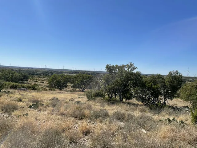 a view of a dry field with trees in background