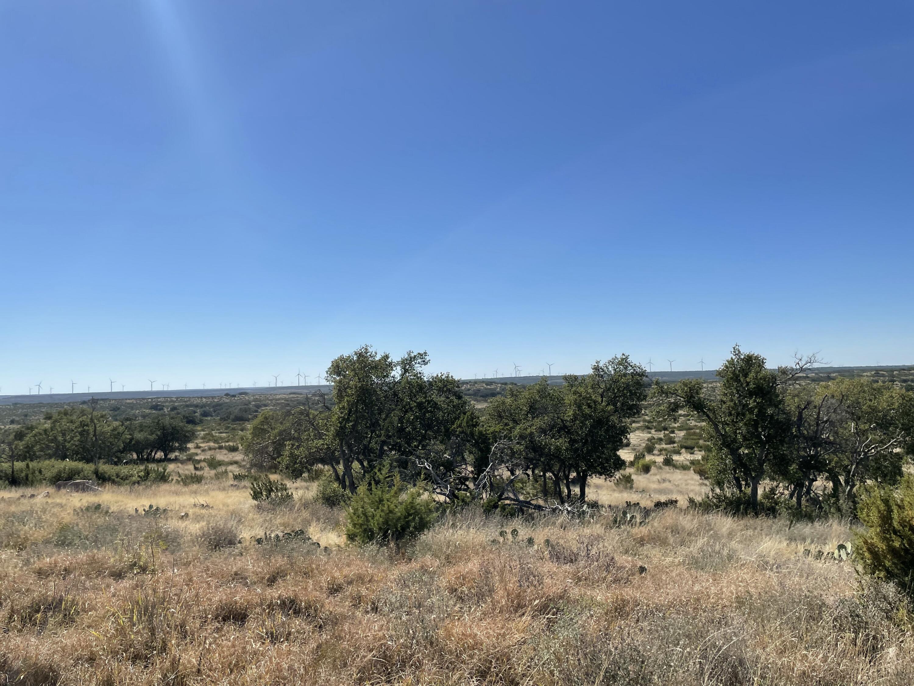 0 Allen Road Christoval, TX 76935 - Photo 16 of 32 a view of a dry yard with trees