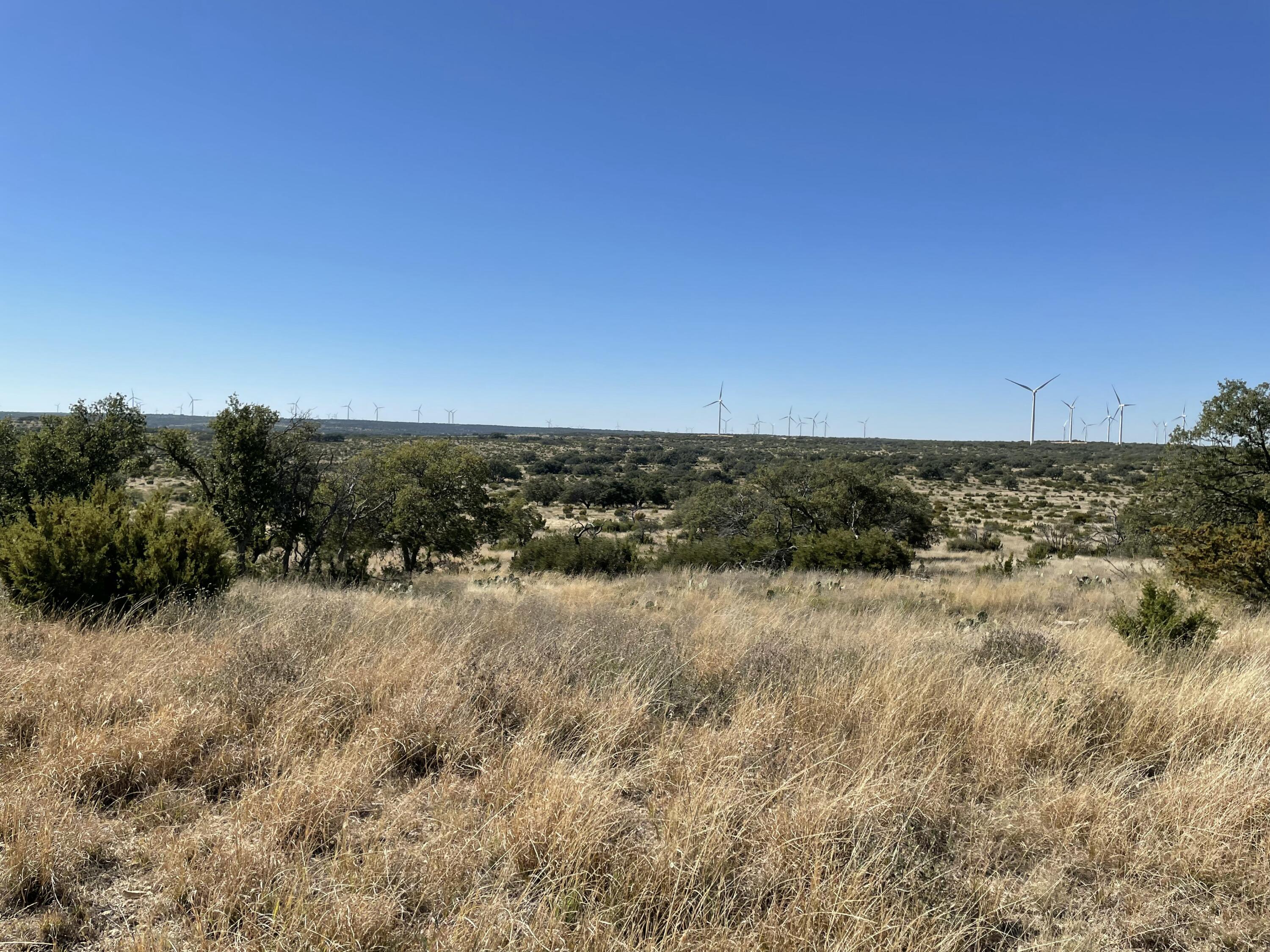 0 Allen Road Christoval, TX 76935 - Photo 17 of 32 a view of a dry field with trees in background