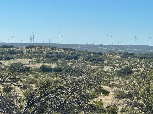 a view of a field with trees in the background