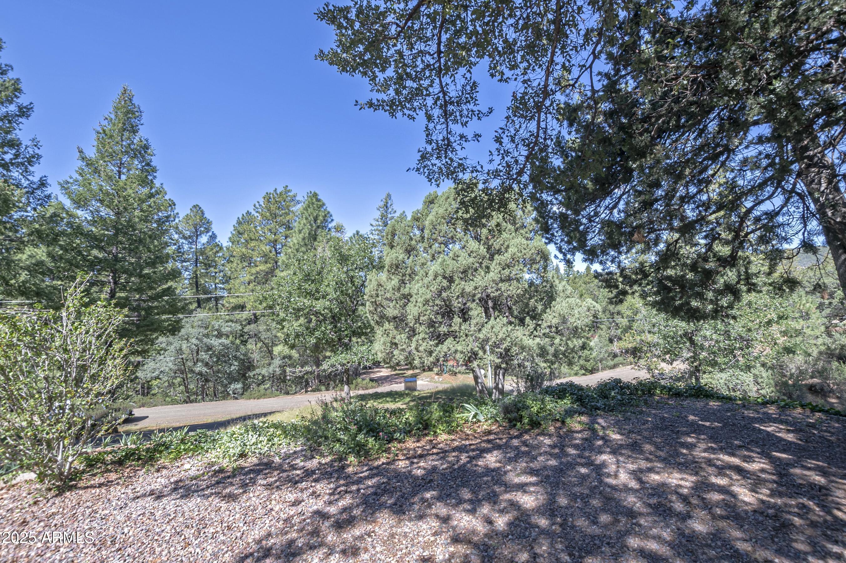 4763 Ernies Road Strawberry, AZ 85544 - Photo 38 of 50 a view of a yard with a tree