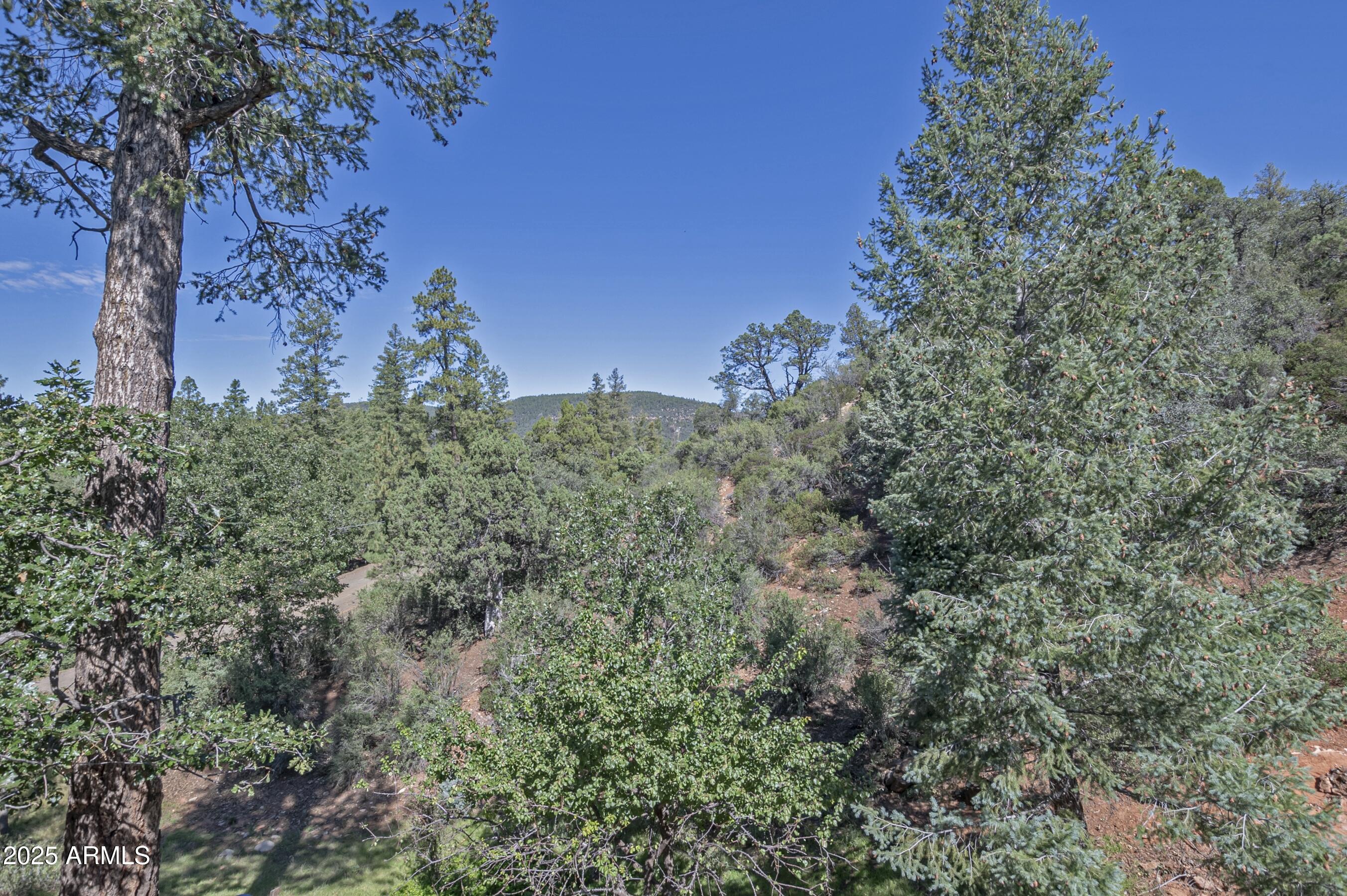 4763 Ernies Road Strawberry, AZ 85544 - Photo 46 of 50 a view of a tree in a yard
