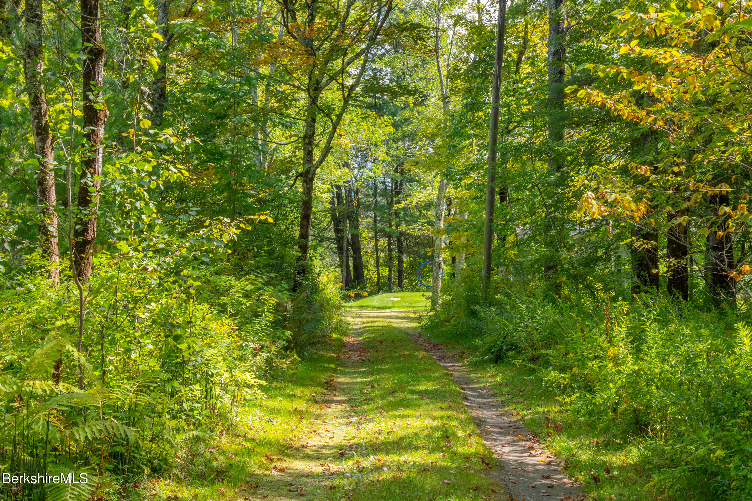 10 Phelps Road Monterey, MA 01245 - Photo 44 of 45 a view of a yard