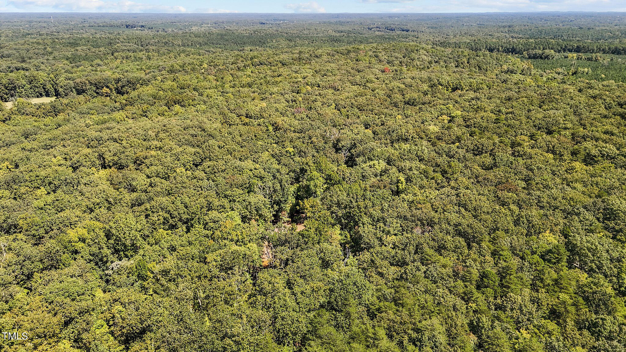 Tbd Monadnock Ridge Road Hillsborough, NC 27278 - Photo 3 of 8 13 wooded acres in Carrington Farms, Efland.