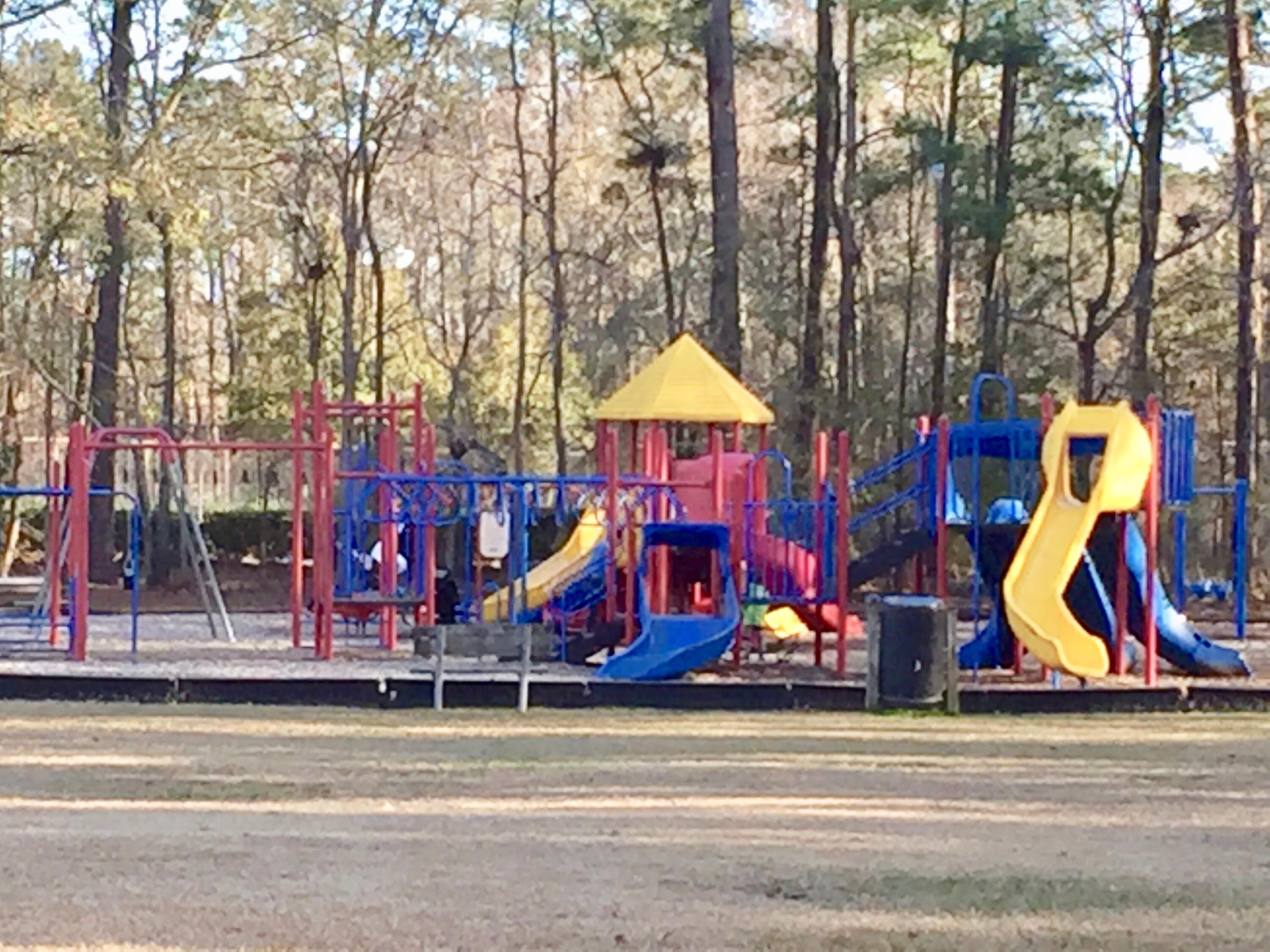104 Sutton Lane Goose Creek, SC 29445 - Photo 40 of 40 Playground