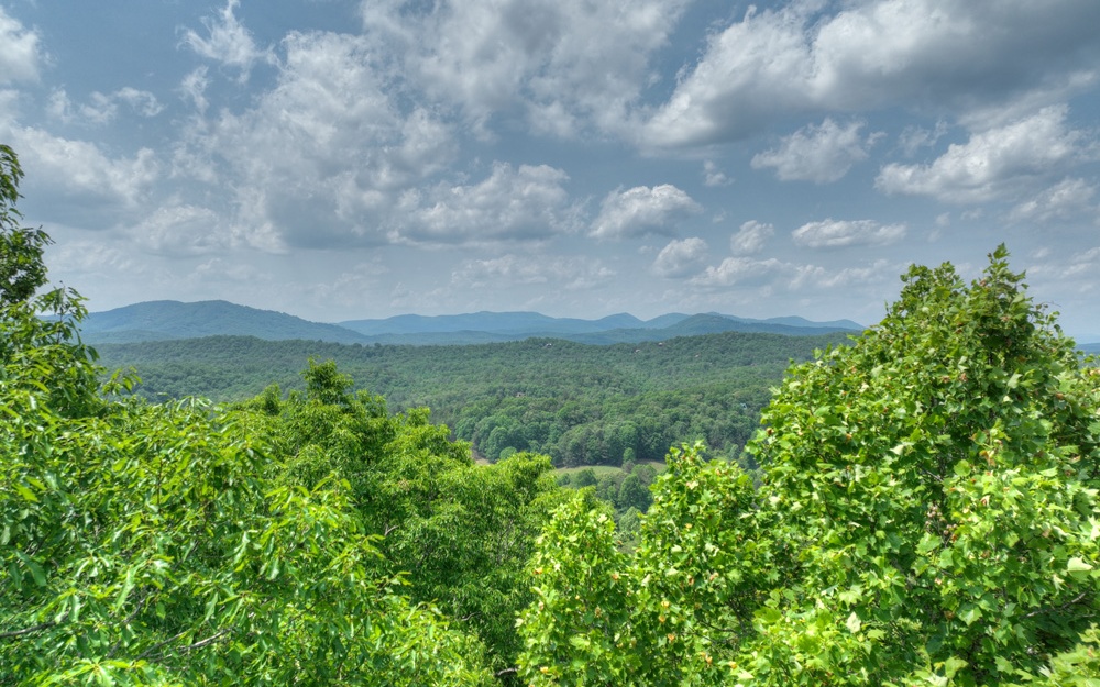 356 Locust Gap Road Mineral Bluff, GA 30559 - Photo 2 of 57 Additional View