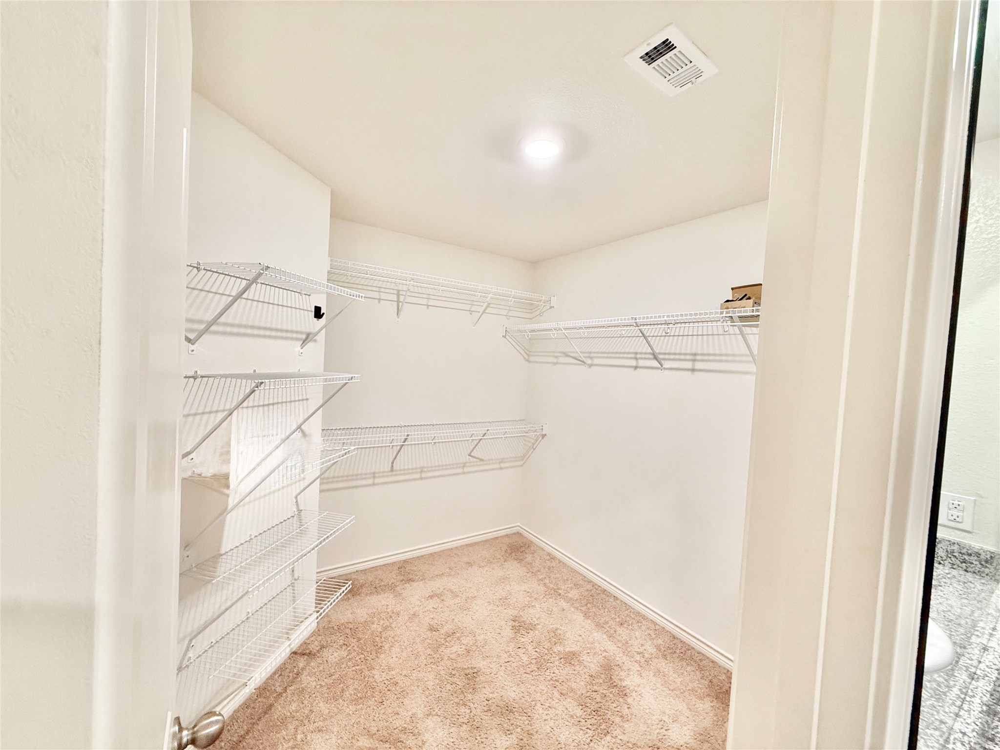 521 Locksley Cove Jarrell, TX 76537 - Photo 15 of 17