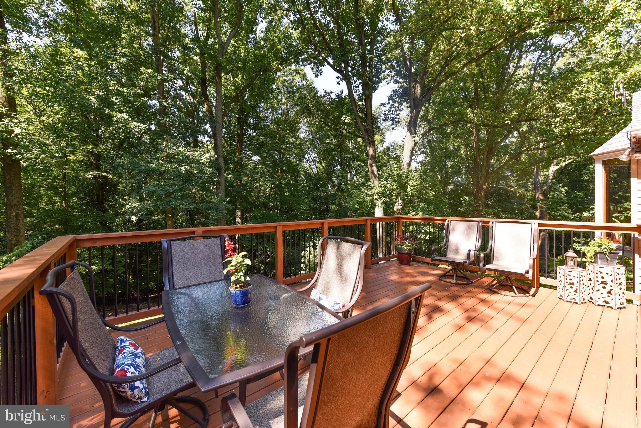 4002 Decatur Avenue Kensington, MD 20895 - Photo 14 of 30 New Back Deck w/ view of Rock Creek Park