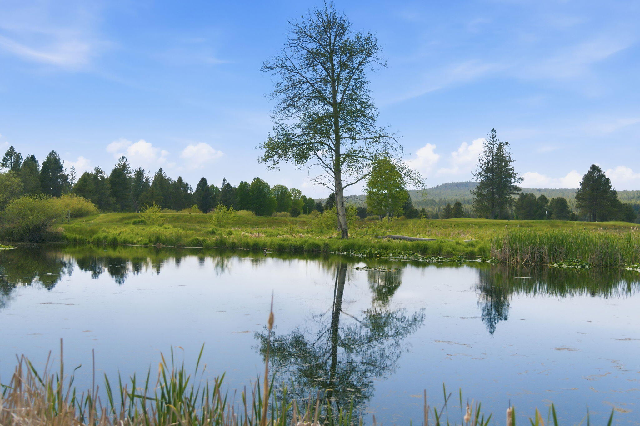 17654 Pinnacle Lane, Unit 16 Sunriver, OR 97707 - Photo 19 of 28 a view of lake with green space
