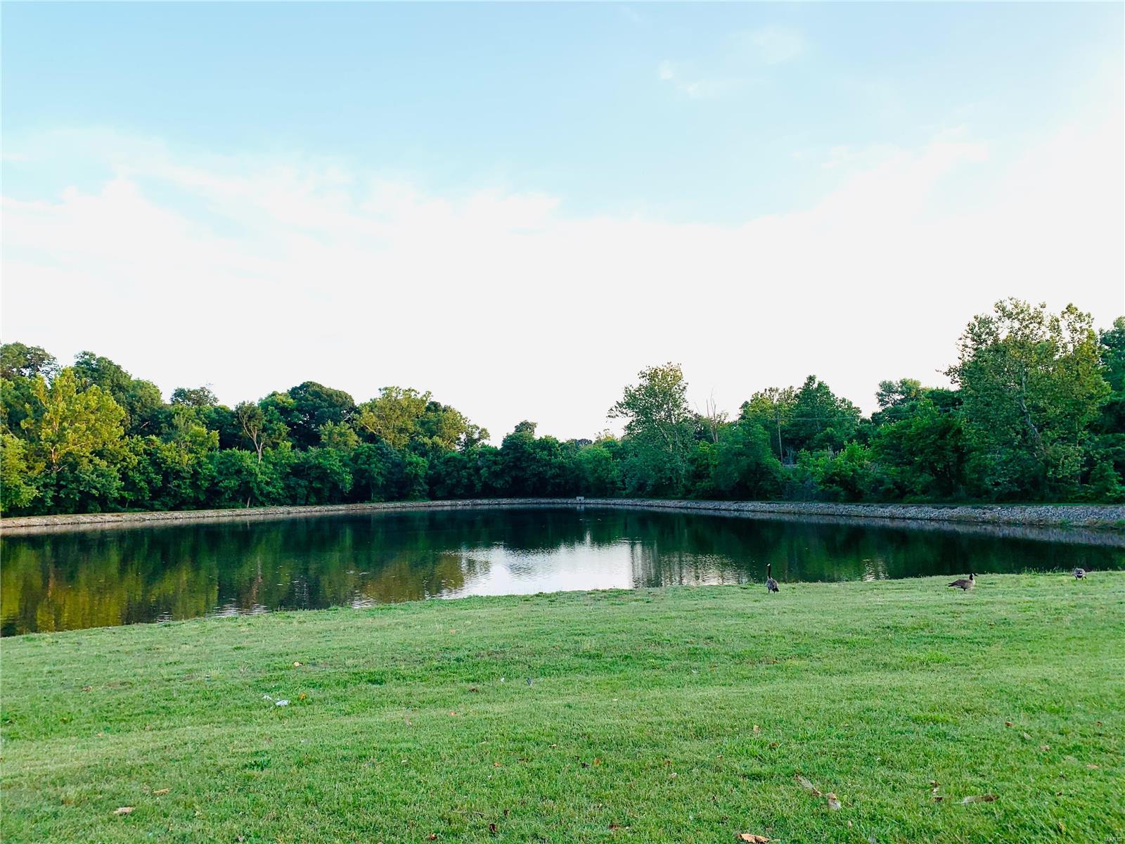 5331 Casa Royale Drive St. Louis, MO 63129 - Photo 41 of 42