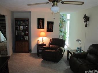 732 Fort Henry Road Belleville, IL 62221 - Photo 13 of 36 Gallery Image 13
