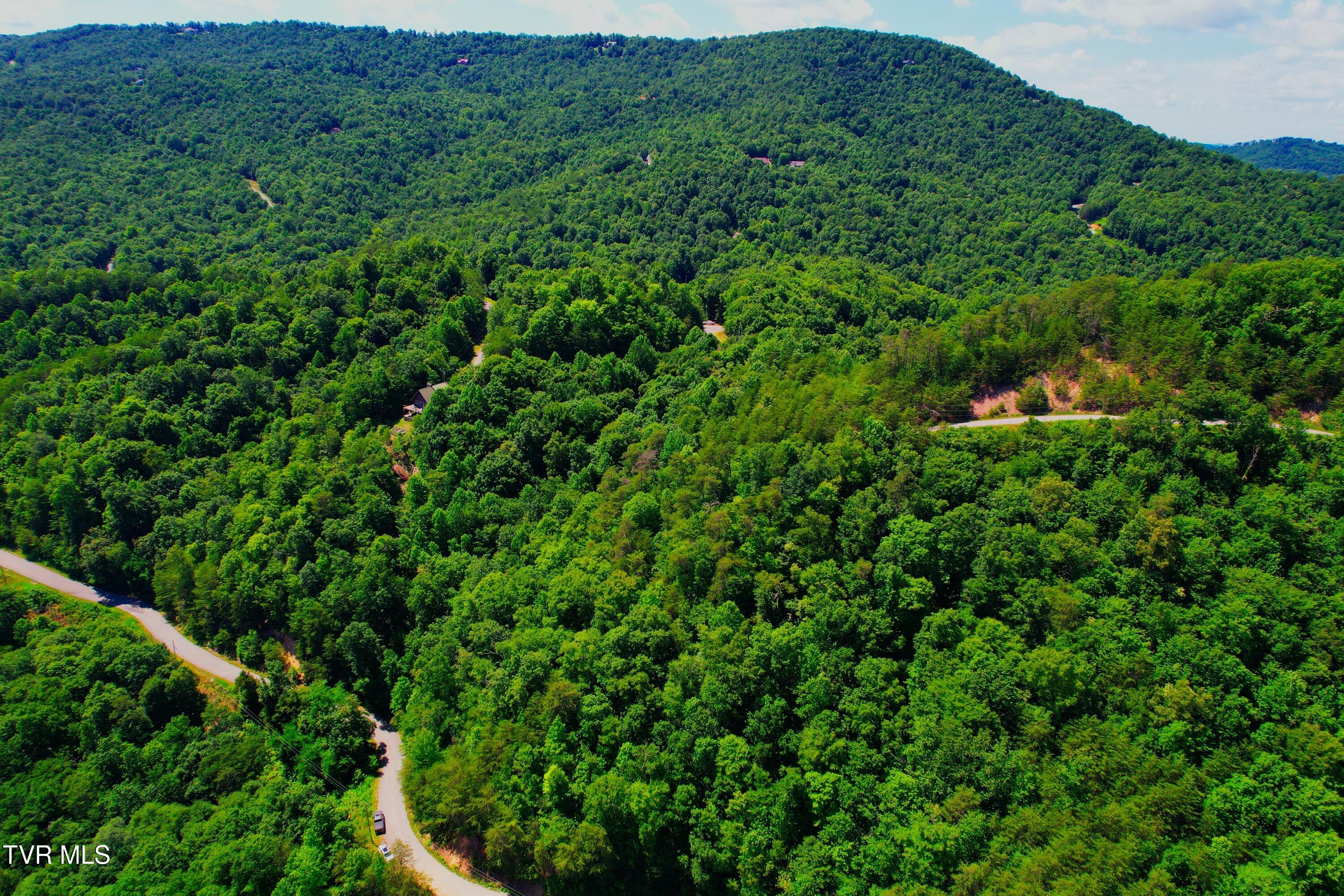 Lot 69 Ridgecrest Road New Tazewell, TN 37825 - Photo 11 of 36 Photo (15) (2)