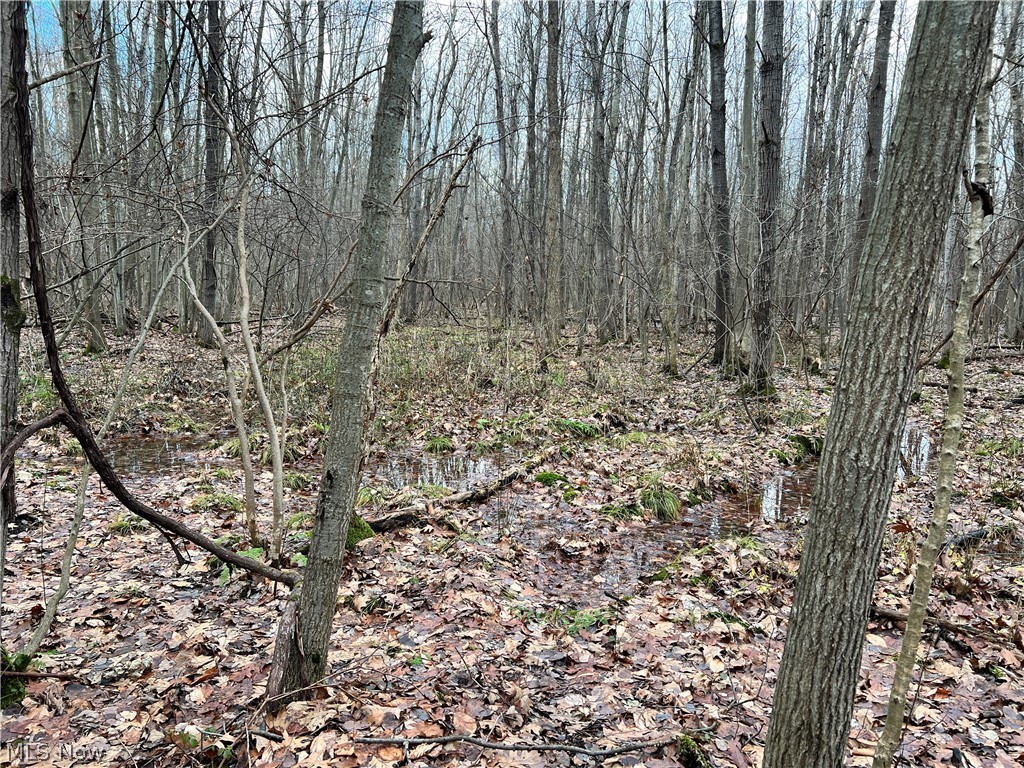 1291 Old Kyle Road Dorset, OH 44032 - Photo 16 of 21