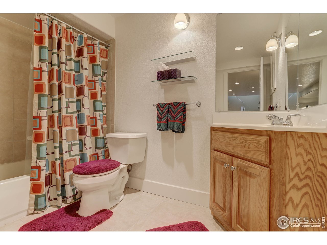 3635 Terry Ridge Road Fort Collins, CO 80524 - Photo 11 of 21 Lower level full bath