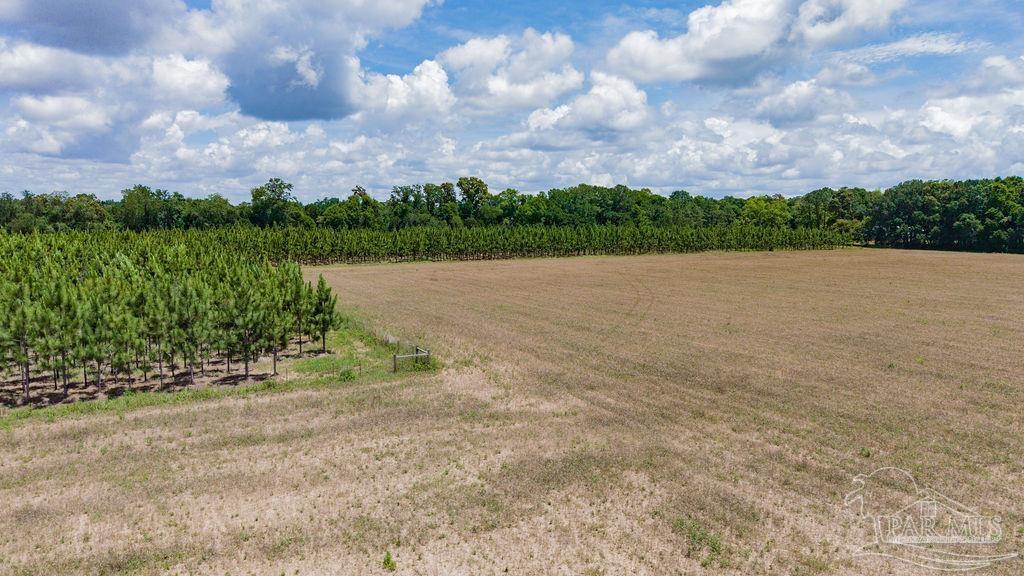 17 Three Three Oaks Lane Pace, FL 32571 - Photo 6 of 10