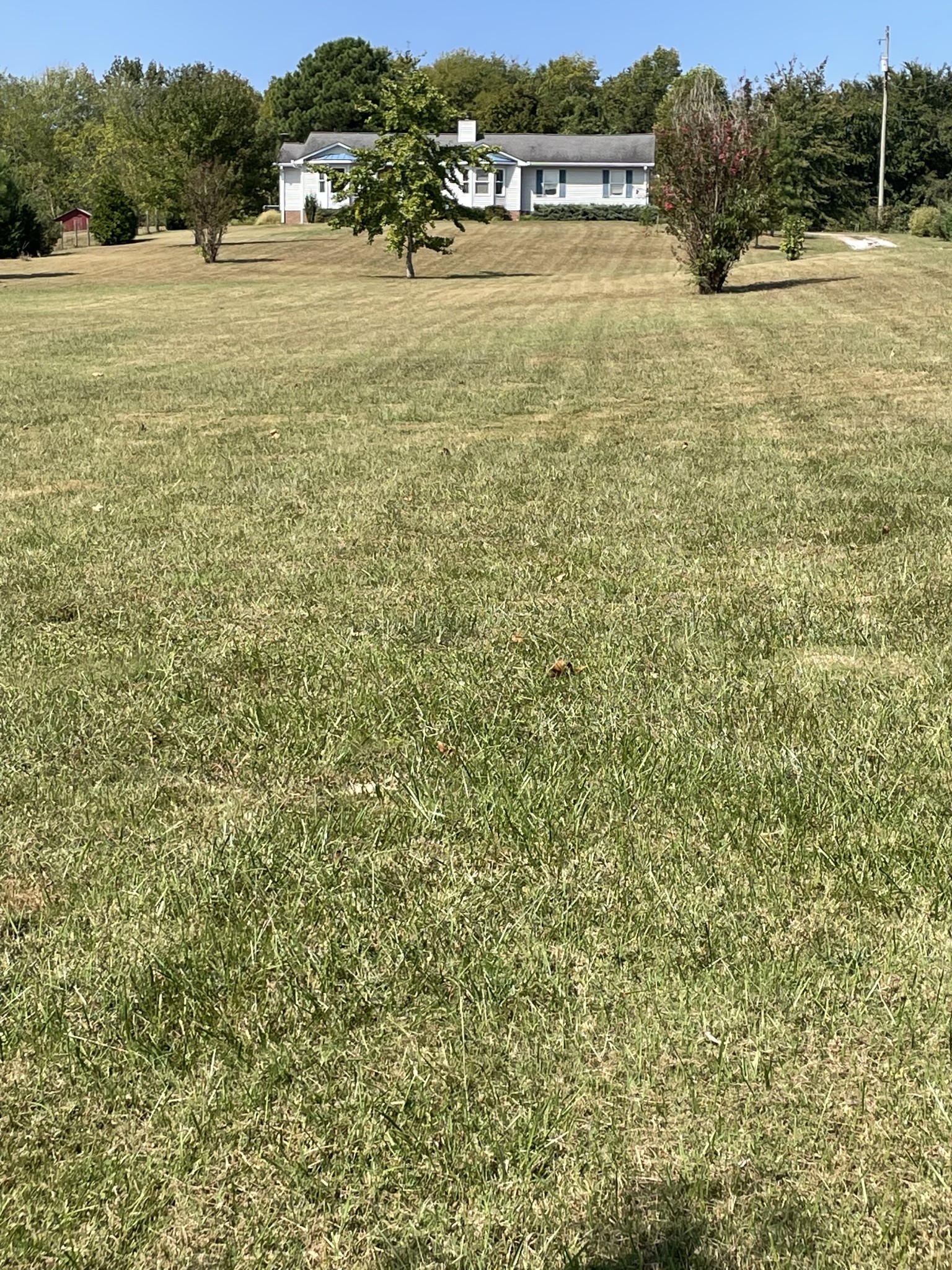7263 Bidwell Road Joelton, TN 37080 - Photo 3 of 42 Home with 2.72 Acres