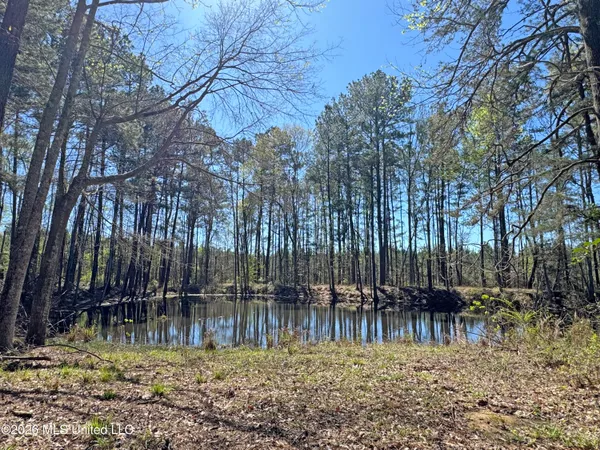 $290,000 | 2434 Highway 583, Unit 1, Bogue Chitto, MS 39629