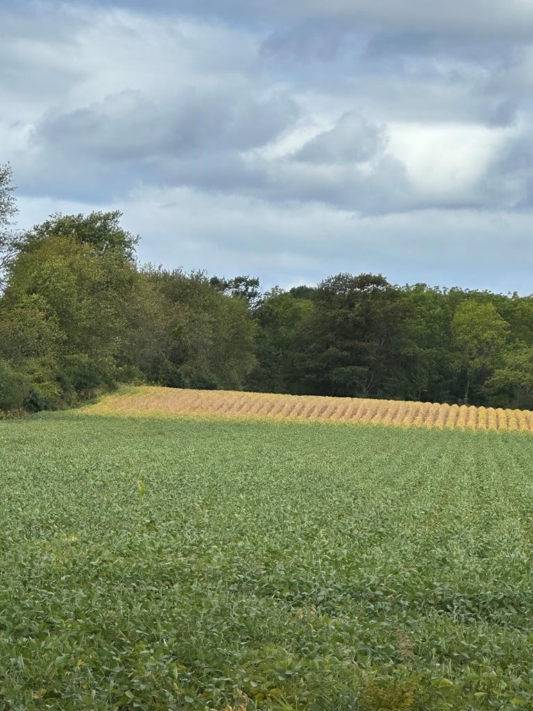Hillside Road Egg Harbor, WI 54209 - Photo 1 of 6 Main View