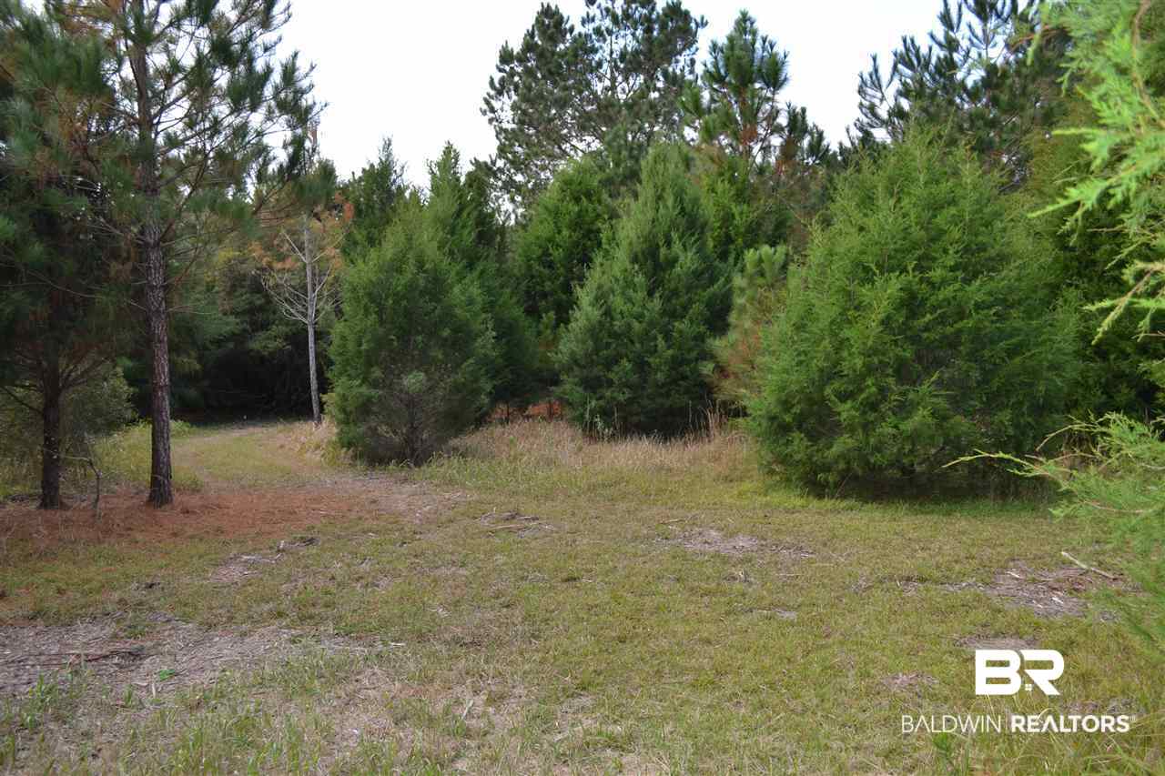 20751 Keller Road Foley, AL 36535 - Photo 42 of 44