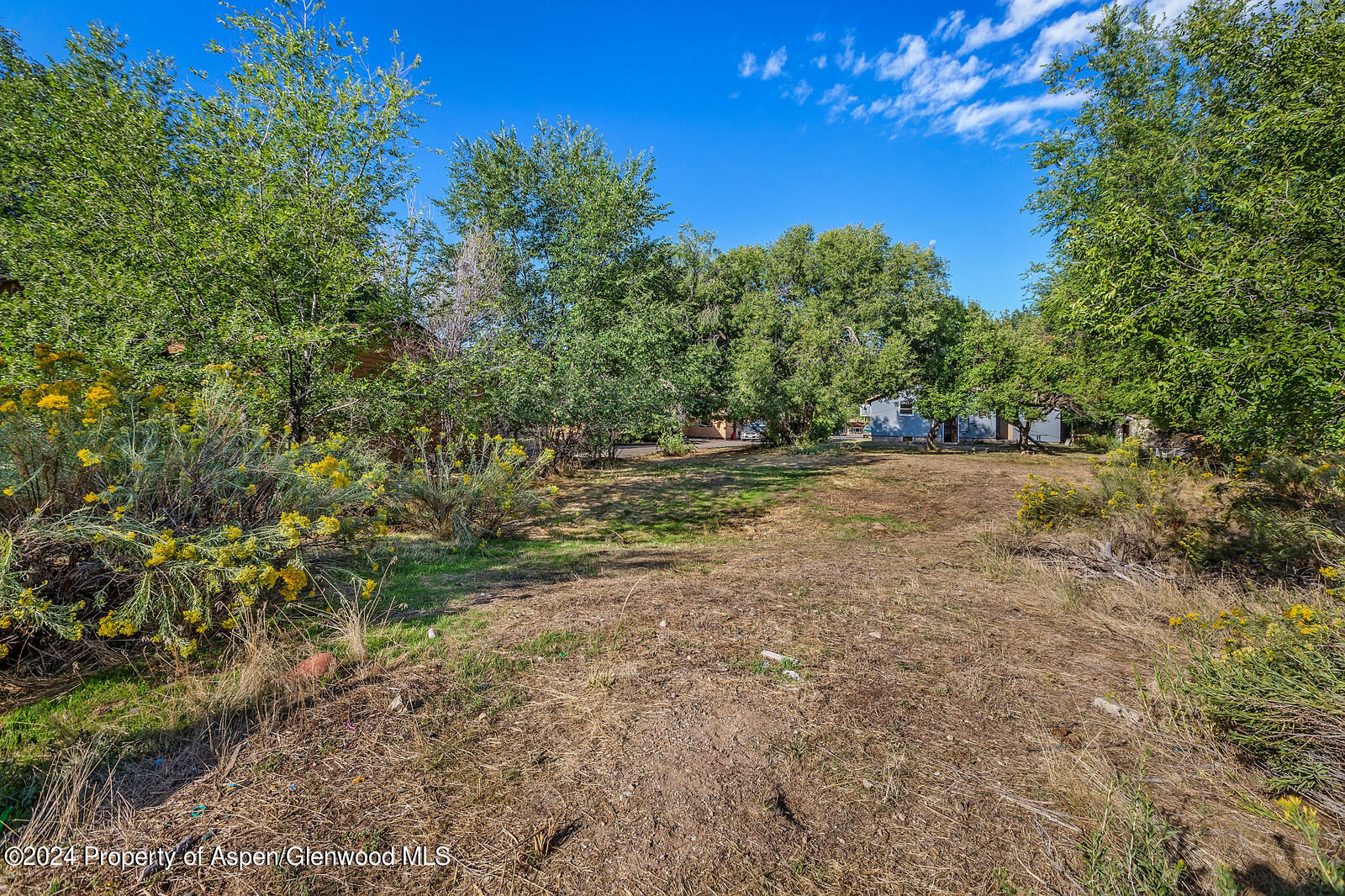 902 Randolph Avenue Rifle, CO 81650 - Photo 18 of 18 a view of a yard with a tree