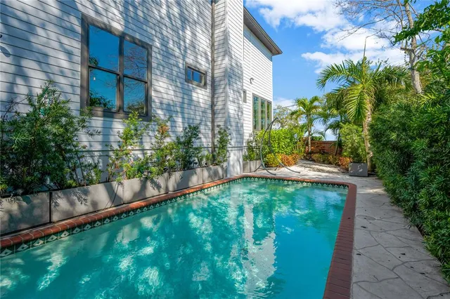 a view of a yard with plants and palm trees