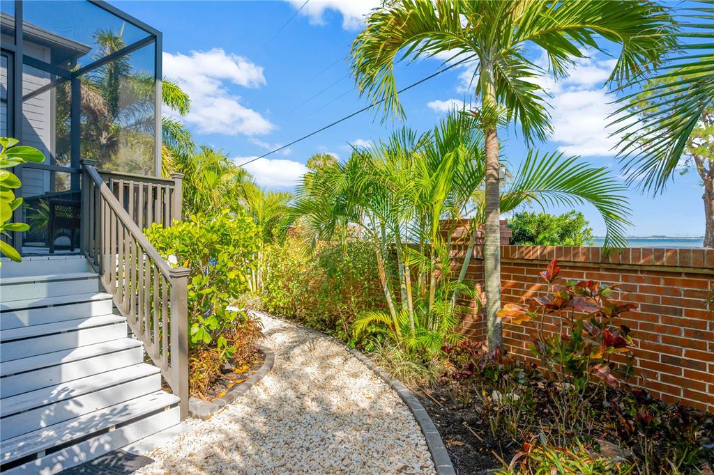 2802 Northpointe Lane Tampa, FL 33611 - Photo 51 of 55 a view of a yard with plants and palm trees