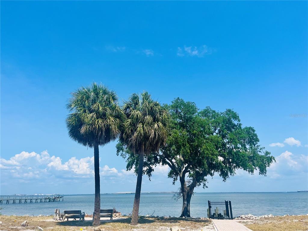 2802 Northpointe Lane Tampa, FL 33611 - Photo 55 of 55 a view of a palm tree with an ocean view