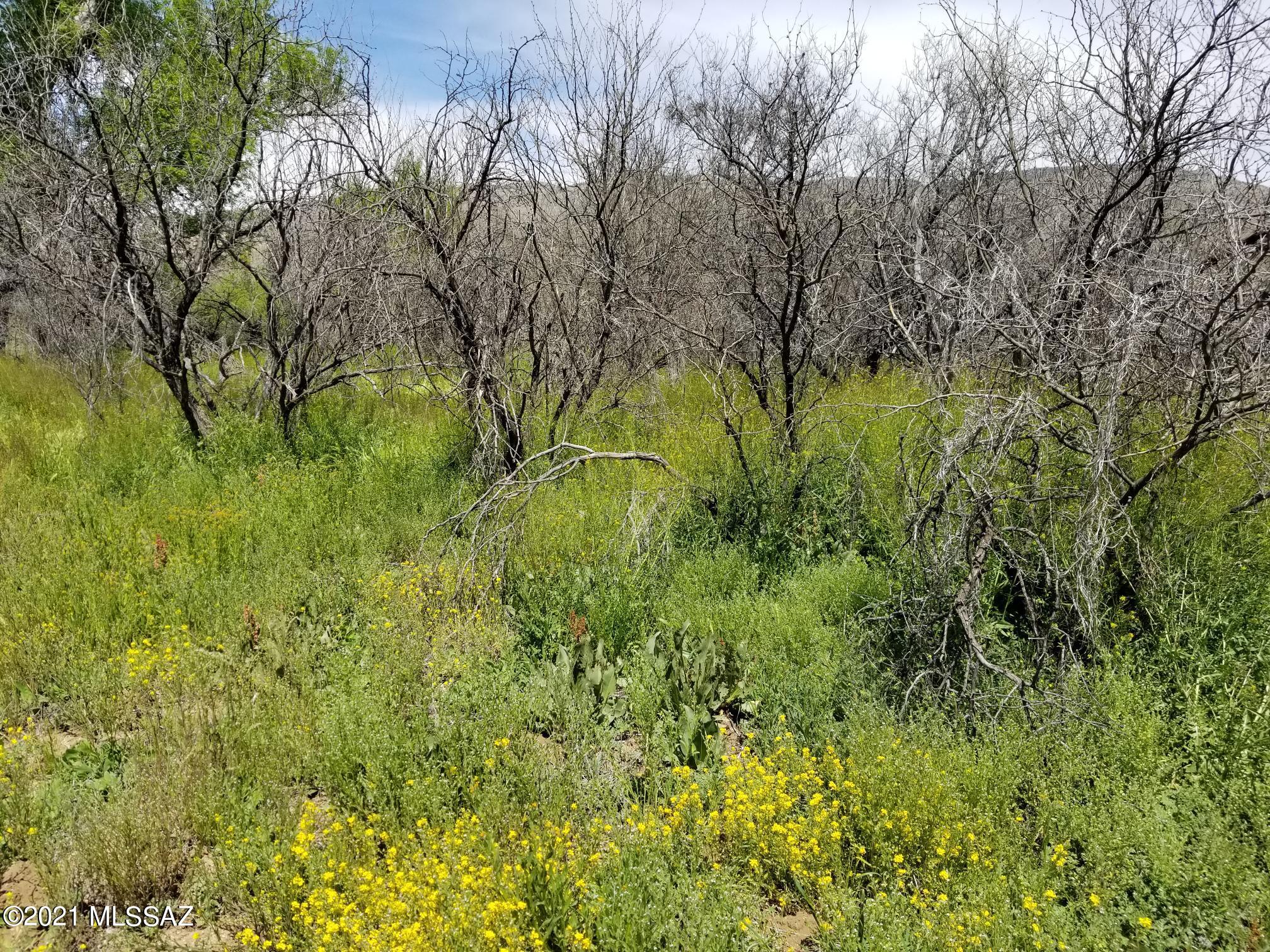 6802 East Colossal Cave Road South Vail, AZ 85641 - Photo 9 of 12