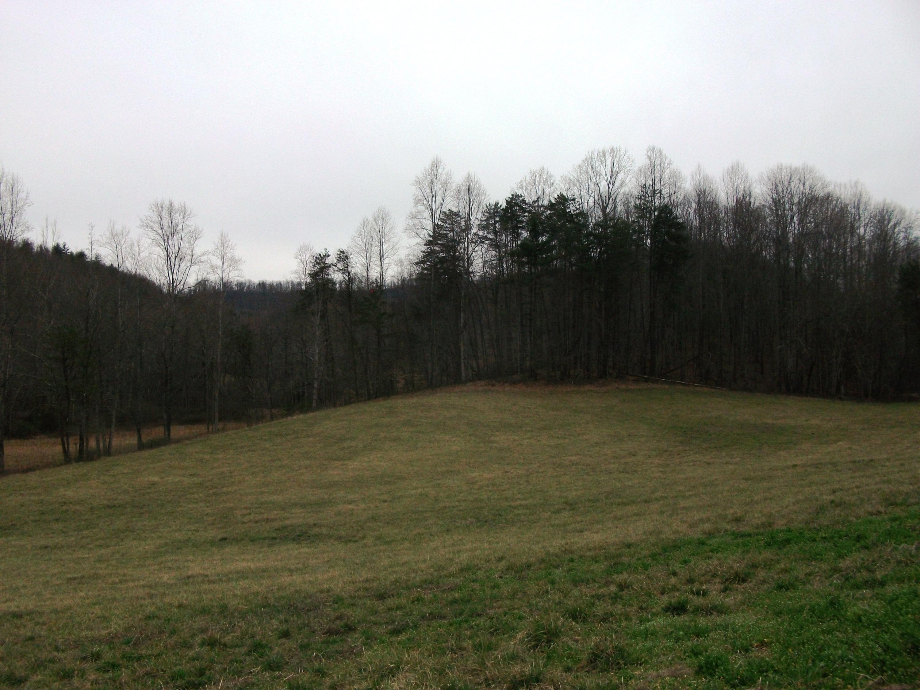 726 Swenfield Road Callaway, VA 24067 - Photo 32 of 40 a view of a backyard
