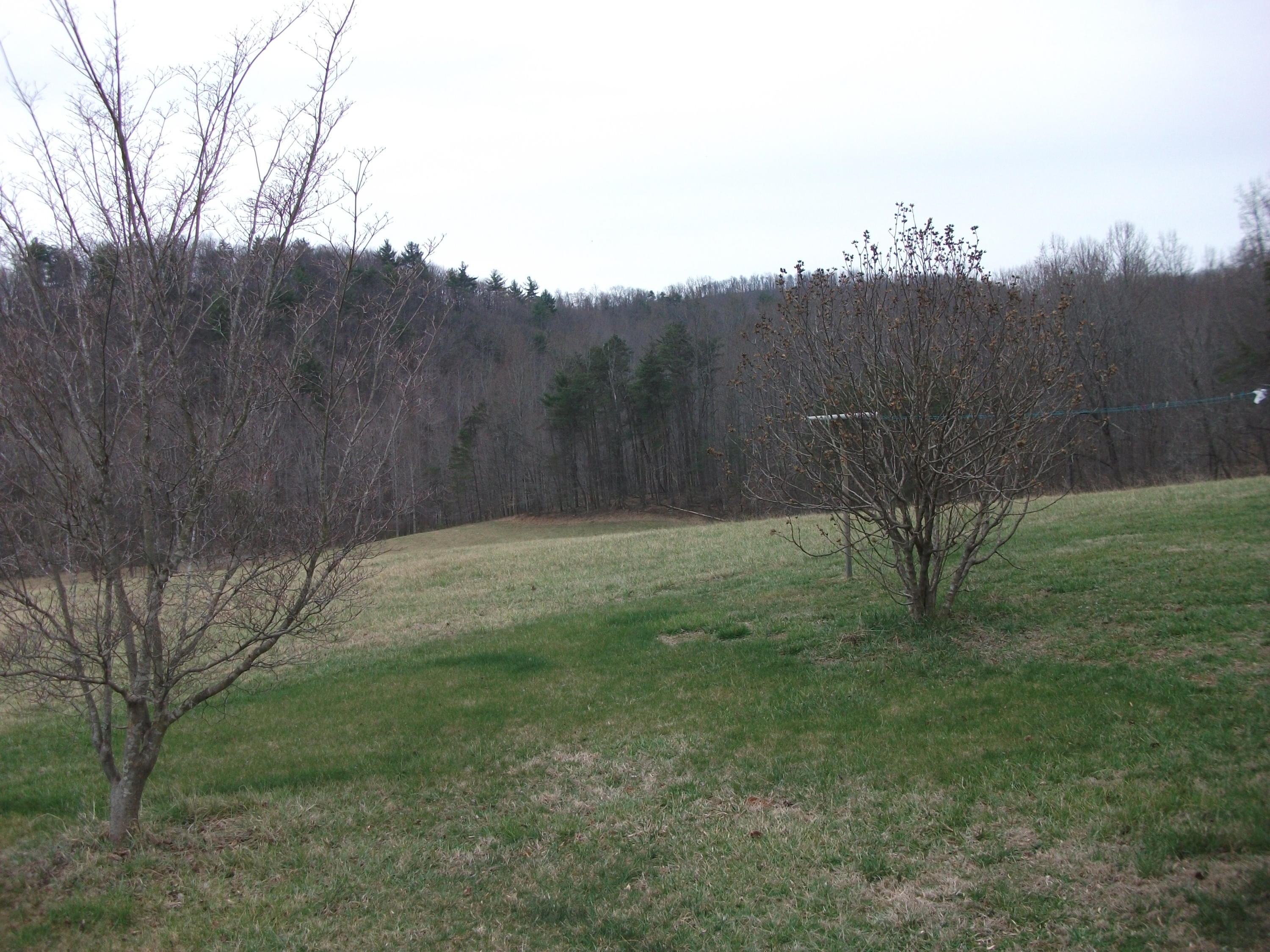 726 Swenfield Road Callaway, VA 24067 - Photo 34 of 40 a view of a backyard