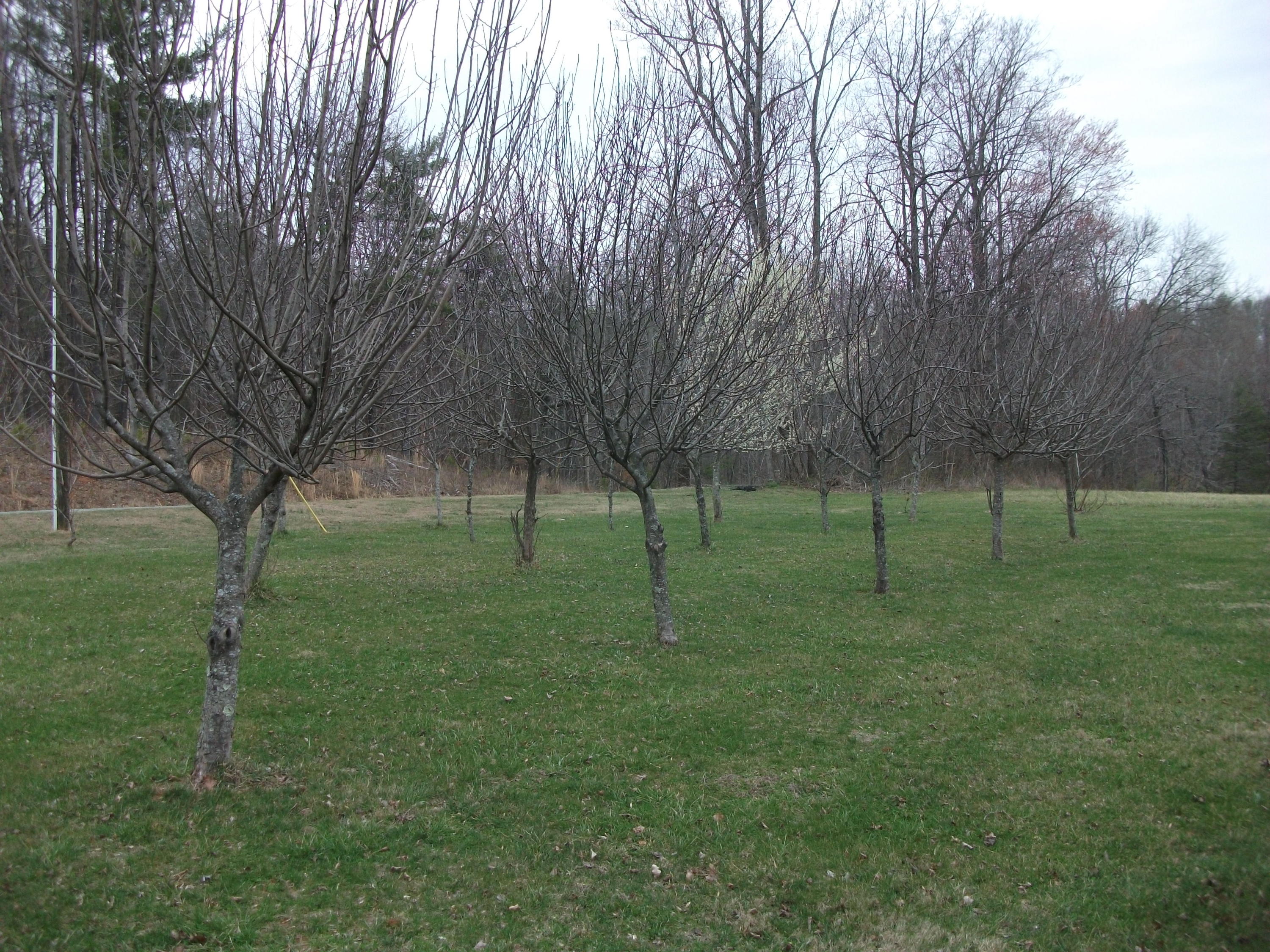 726 Swenfield Road Callaway, VA 24067 - Photo 35 of 40 a view of a park