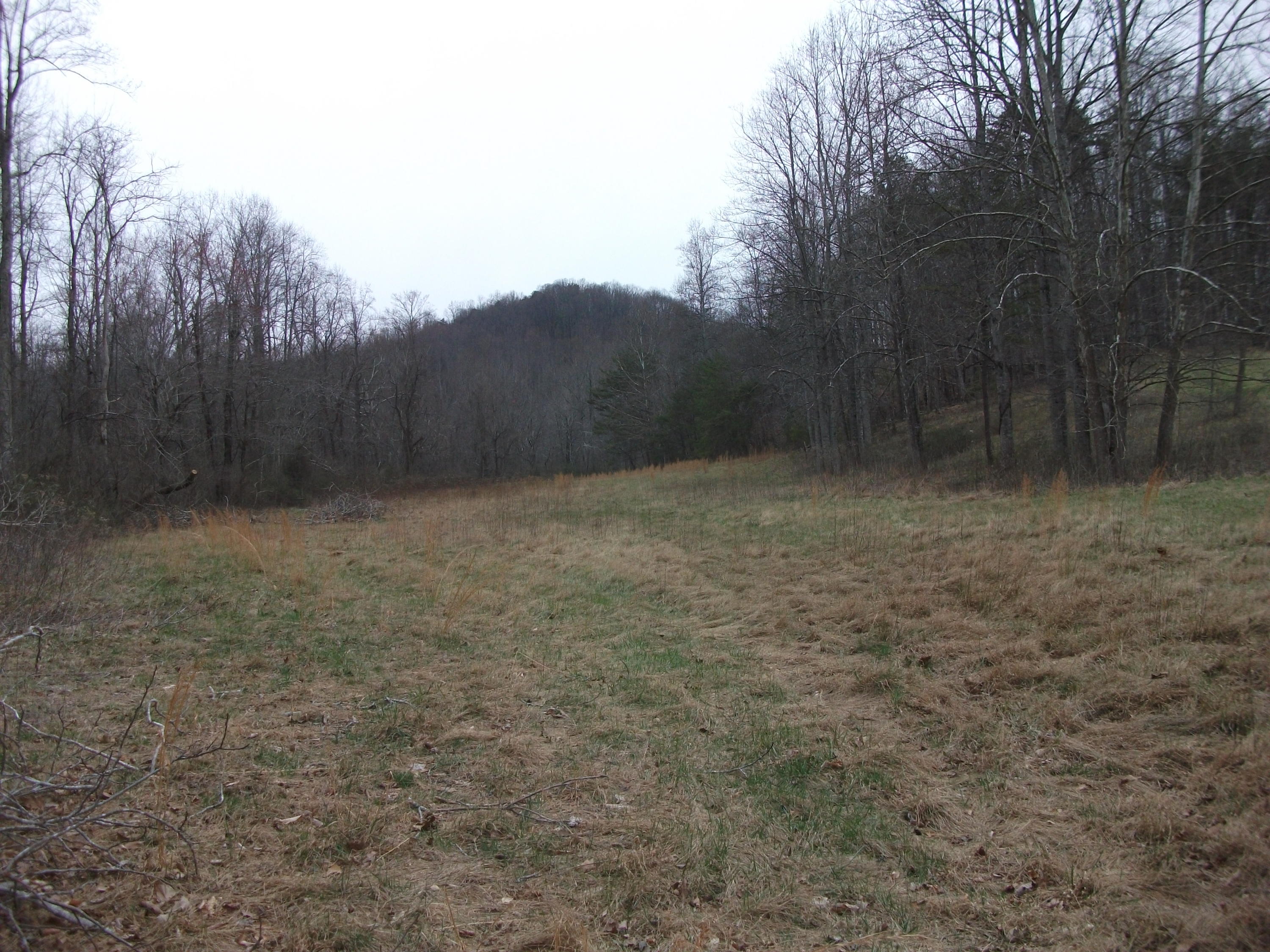 726 Swenfield Road Callaway, VA 24067 - Photo 36 of 40 a view of a dry yard with trees