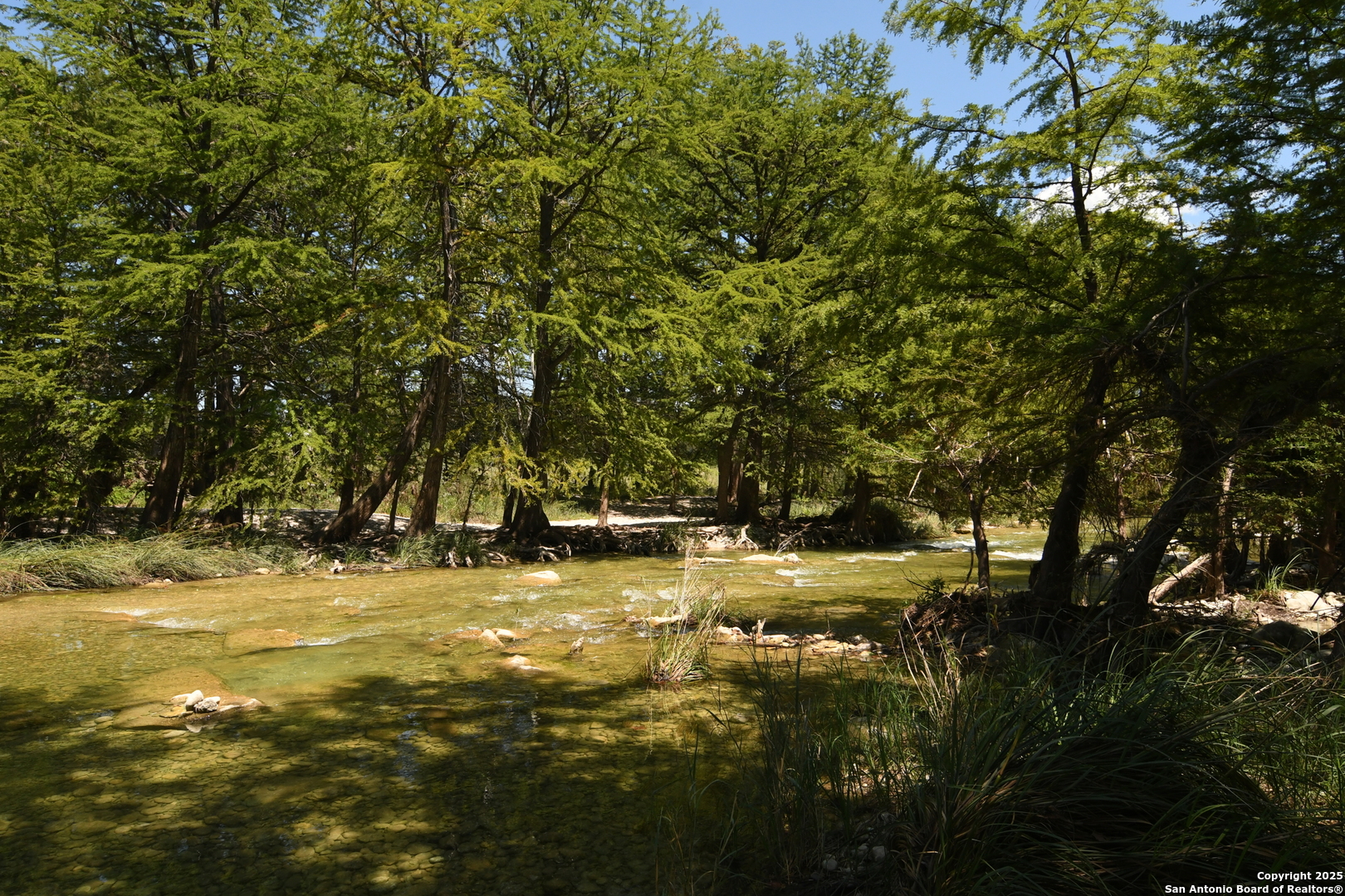 432 Cat Claw Concan, TX 78838 - Photo 76 of 76 a view of a yard with a tree