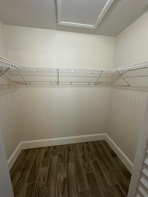 3132 St Clair Avenue, Unit A Oldsmar, FL 34677 - Photo 13 of 23