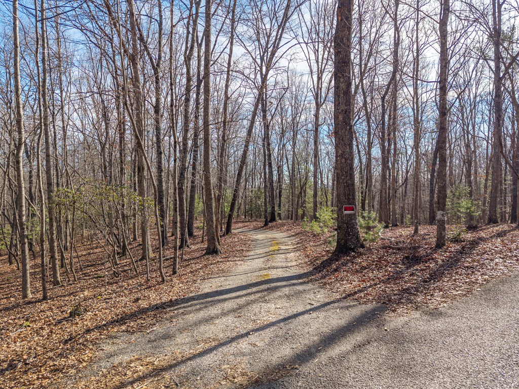 155 Becky Road Blairsville, GA 30512 - Photo 14 of 26 Gallery Image 14