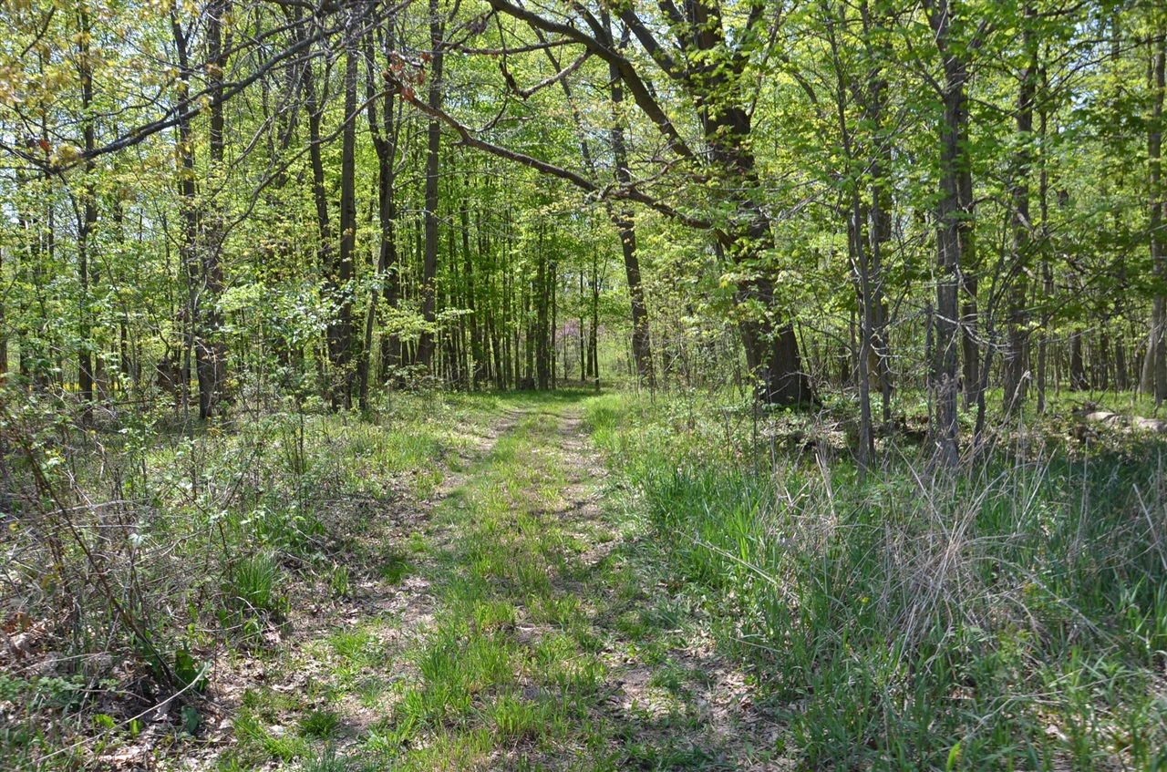 2255 River Road Hastings, MI 49058 - Photo 72 of 94