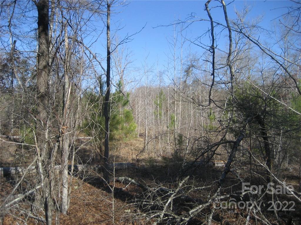 0 Yellow Gate Road, Unit TRACT 4 York, SC 29745 - Photo 3 of 6 Gallery Image 3
