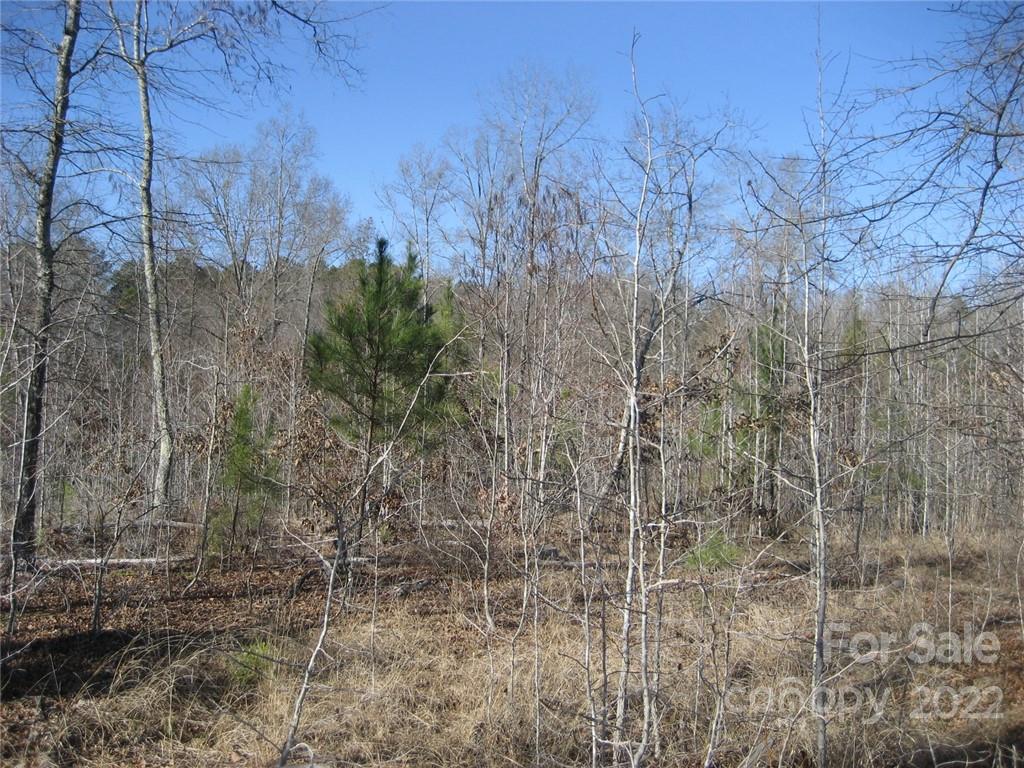 0 Yellow Gate Road, Unit TRACT 4 York, SC 29745 - Photo 4 of 6 Gallery Image 4