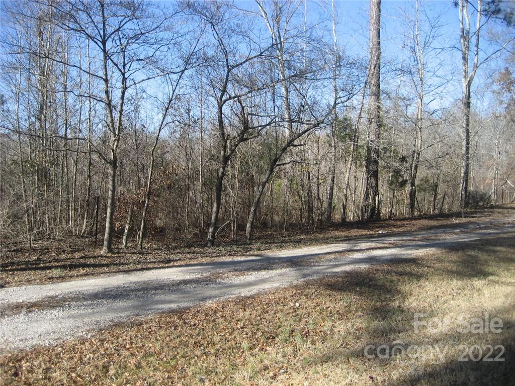0 Yellow Gate Road, Unit TRACT 4 York, SC 29745 - Photo 5 of 6 Gallery Image 5