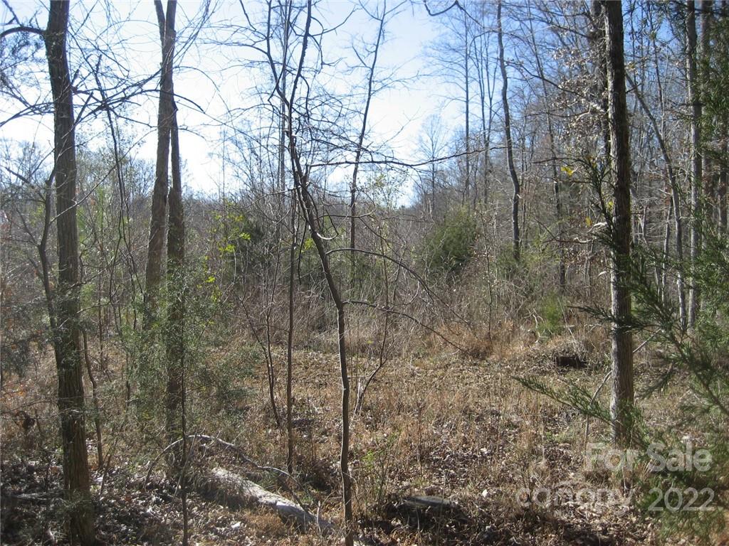 0 Yellow Gate Road, Unit TRACT 4 York, SC 29745 - Photo 6 of 6 Gallery Image 6