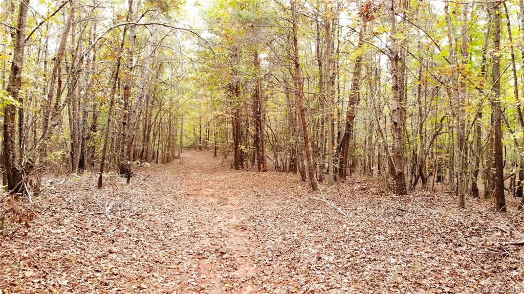 98-acres 98-acres Zion Road Rutherfordton, NC 28139 - Photo 11 of 38