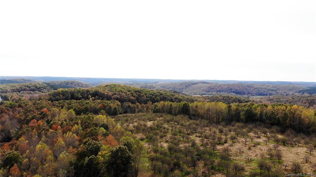 98-acres 98-acres Zion Road Rutherfordton, NC 28139 - Photo 13 of 38