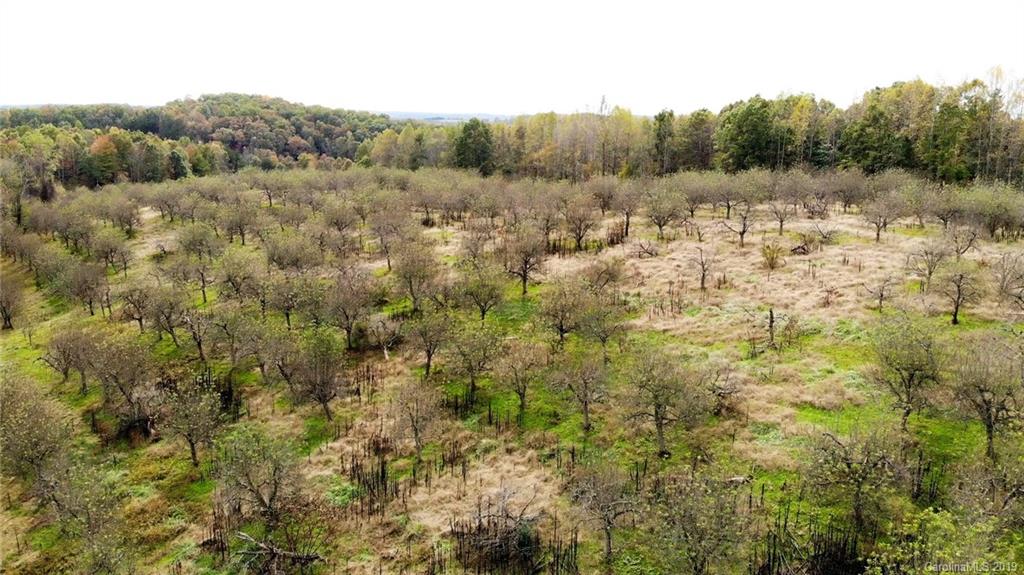 98-acres 98-acres Zion Road Rutherfordton, NC 28139 - Photo 14 of 38