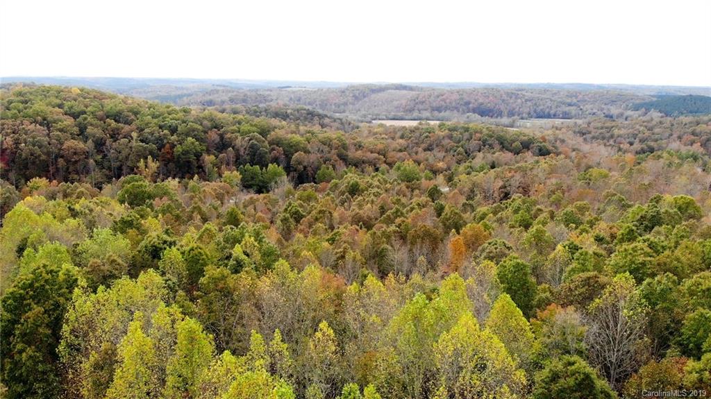 98-acres 98-acres Zion Road Rutherfordton, NC 28139 - Photo 15 of 38