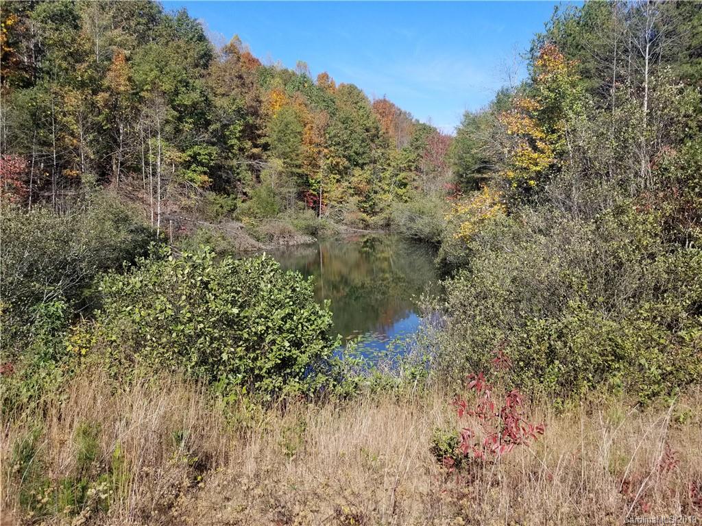 98-acres 98-acres Zion Road Rutherfordton, NC 28139 - Photo 18 of 38