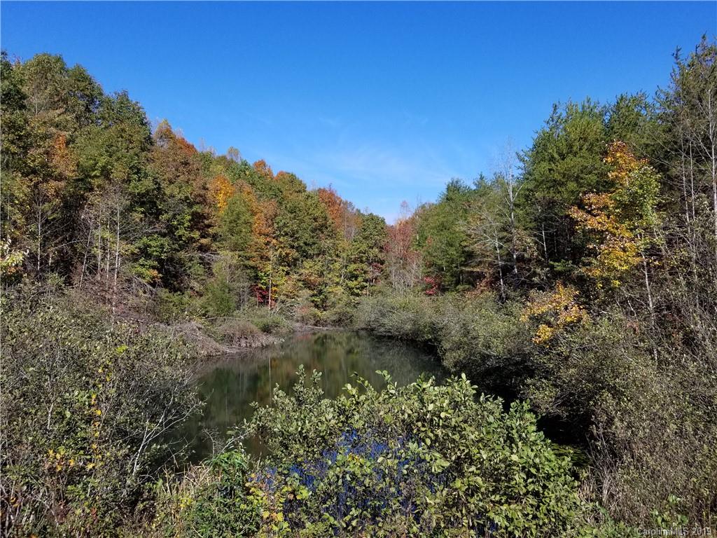 98-acres 98-acres Zion Road Rutherfordton, NC 28139 - Photo 20 of 38