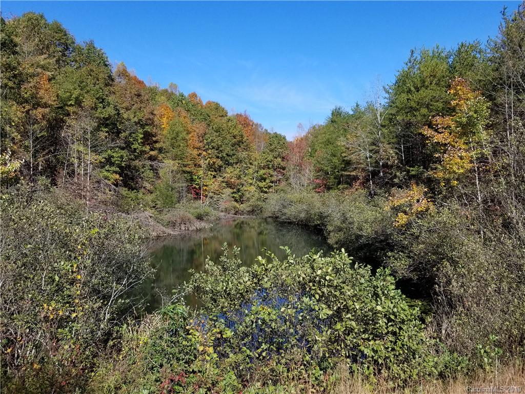 98-acres 98-acres Zion Road Rutherfordton, NC 28139 - Photo 21 of 38