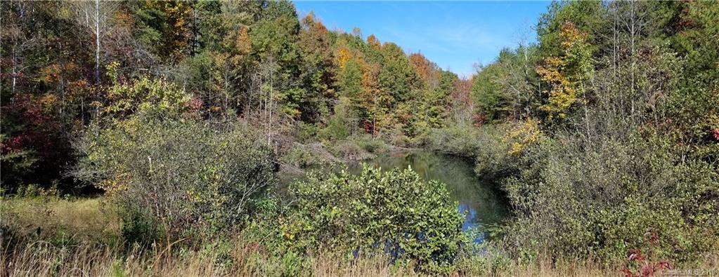 98-acres 98-acres Zion Road Rutherfordton, NC 28139 - Photo 22 of 38