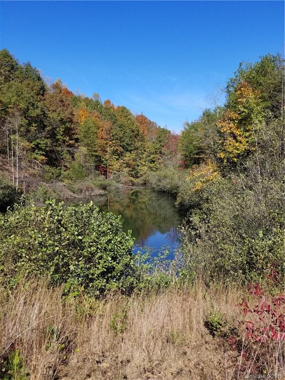98-acres 98-acres Zion Road Rutherfordton, NC 28139 - Photo 24 of 38